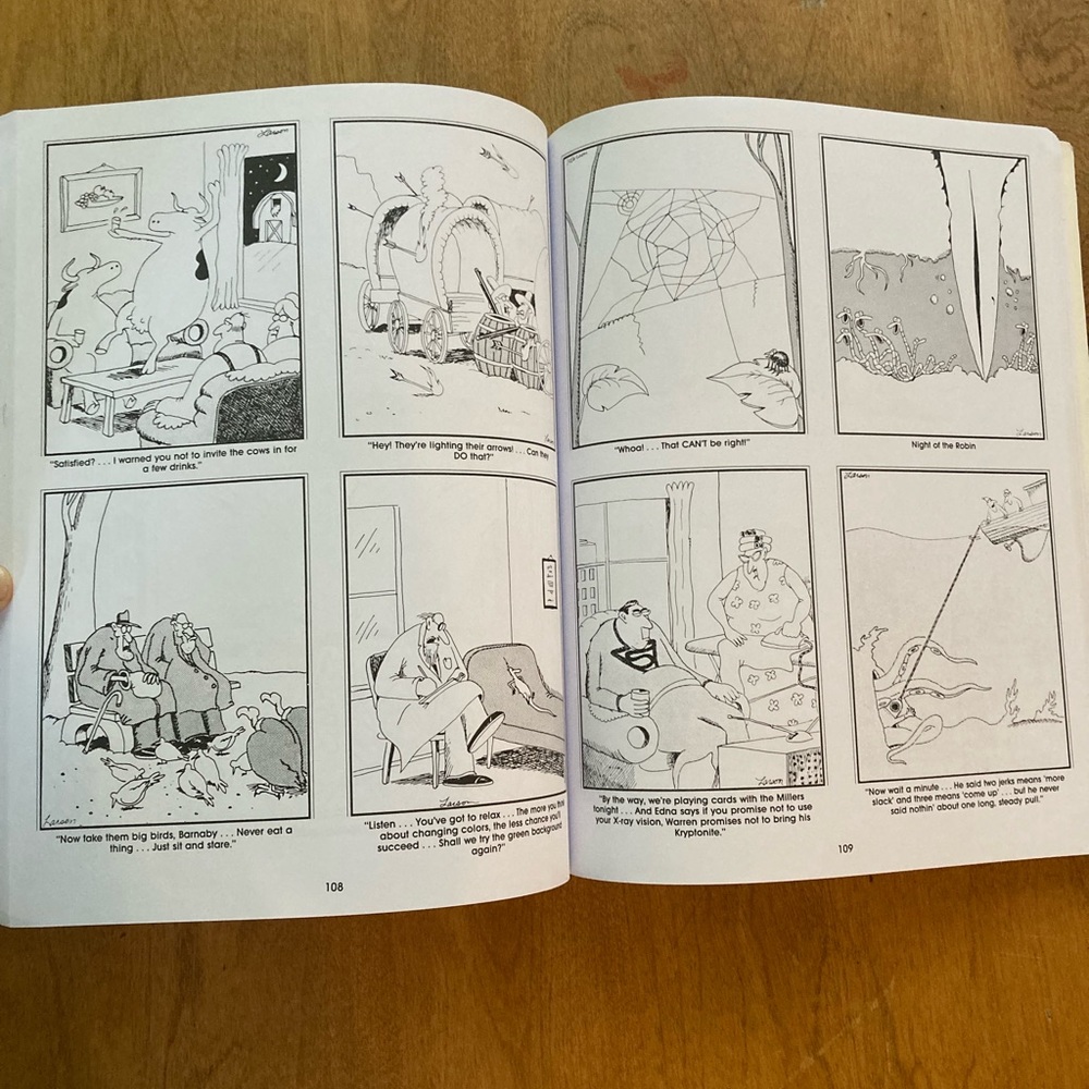FarSide book bundle 📚 - Picture 7 of 16